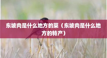 东坡肉是什么地方的菜（东坡肉是什么地方的特产）