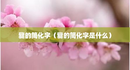 爨的简化字（爨的简化字是什么）