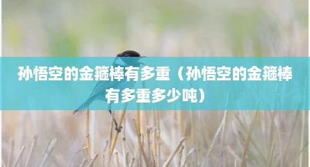 孙悟空的金箍棒有多重（孙悟空的金箍棒有多重多少吨）