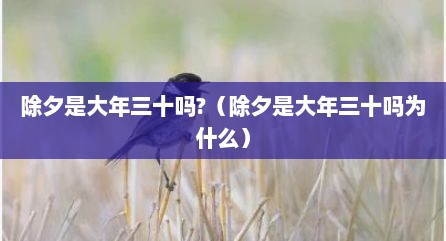 除夕是大年三十吗?（除夕是大年三十吗为什么）