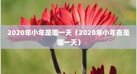 2020年小年是哪一天（2020年小年夜是哪一天）