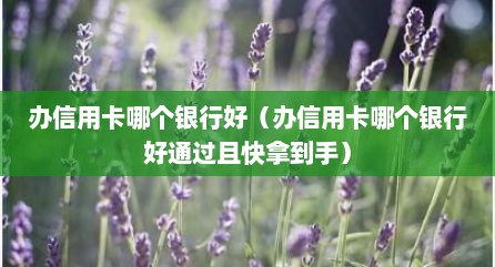 办信用卡哪个银行好（办信用卡哪个银行好通过且快拿到手）