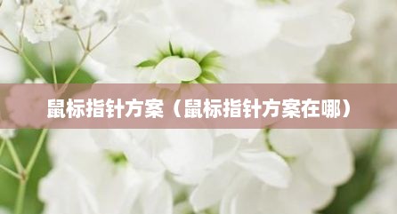 鼠标指针方案（鼠标指针方案在哪）