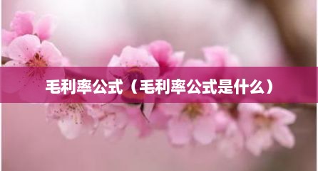 毛利率公式（毛利率公式是什么）