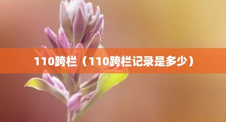 110跨栏（110跨栏记录是多少）