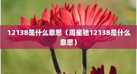 12138是什么意思（周星驰12138是什么意思）