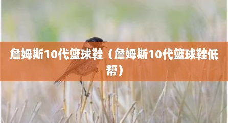 詹姆斯10代篮球鞋（詹姆斯10代篮球鞋低帮）