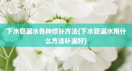 下水管漏水各种修补方法(下水管漏水用什么方法补漏好)