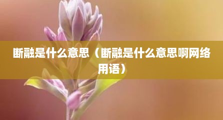 断融是什么意思（断融是什么意思啊网络用语）