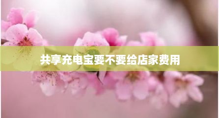 共享充电宝要不要给店家费用