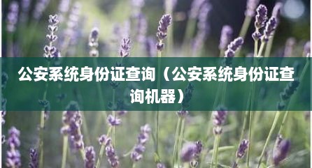 公安系统身份证查询（公安系统身份证查询机器）