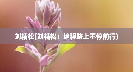 刘精松(刘精松：编程路上不停前行)