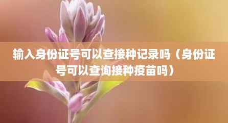 输入身份证号可以查接种记录吗（身份证号可以查询接种疫苗吗）