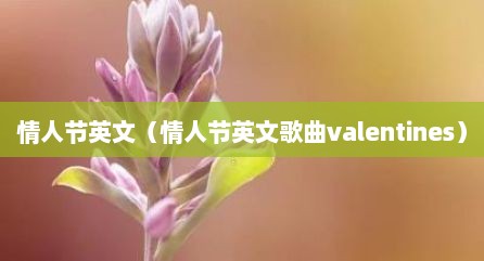 情人节英文（情人节英文歌曲valentines）