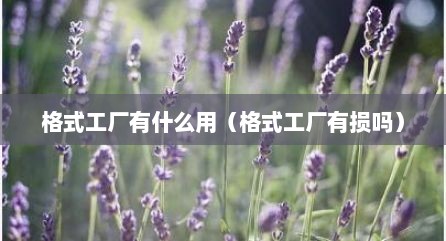 格式工厂有什么用（格式工厂有损吗）