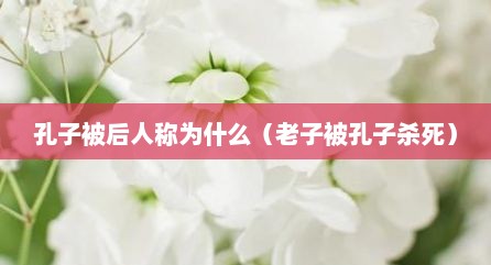 孔子被后人称为什么（老子被孔子杀死）