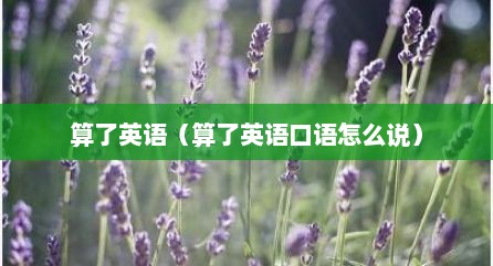 算了英语（算了英语口语怎么说）