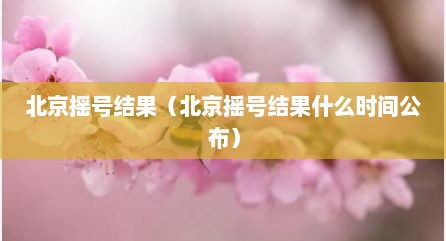 北京摇号结果（北京摇号结果什么时间公布）