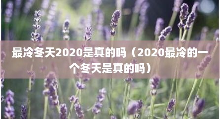 最冷冬天2020是真的吗（2020最冷的一个冬天是真的吗）