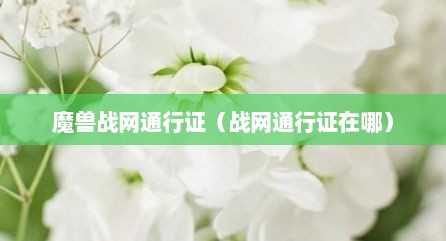 魔兽战网通行证（战网通行证在哪）