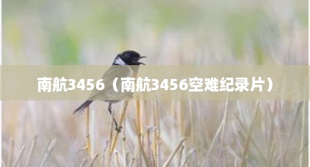 南航3456（南航3456空难纪录片）