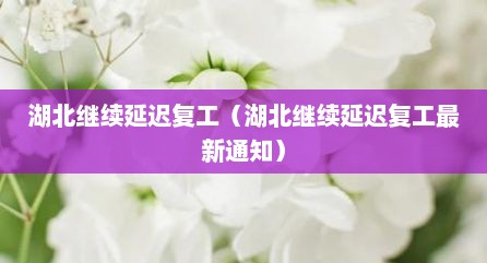 湖北继续延迟复工（湖北继续延迟复工最新通知）