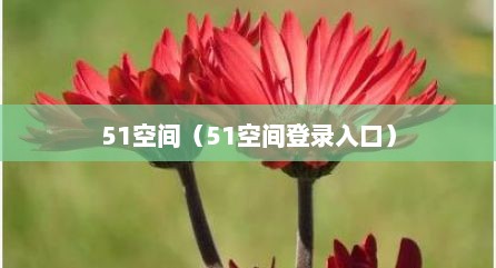 51空间（51空间登录入口）