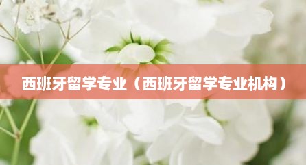 西班牙留学专业（西班牙留学专业机构）