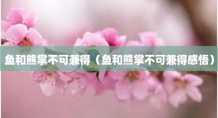 鱼和熊掌不可兼得（鱼和熊掌不可兼得感悟）