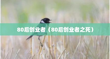 80后创业者（80后创业者之死）