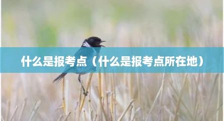 什么是报考点（什么是报考点所在地）