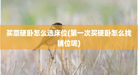 买票硬卧怎么选床位(第一次买硬卧怎么找铺位呢)