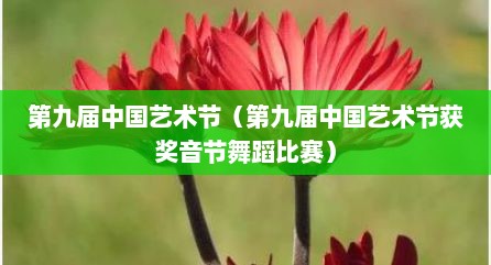 第九届中国艺术节（第九届中国艺术节获奖音节舞蹈比赛）