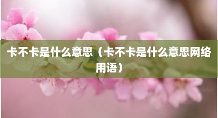 卡不卡是什么意思（卡不卡是什么意思网络用语）