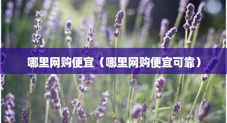 哪里网购便宜（哪里网购便宜可靠）