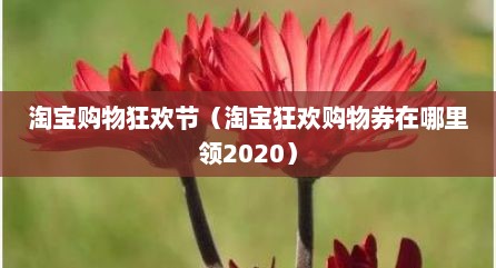 淘宝购物狂欢节（淘宝狂欢购物券在哪里领2020）