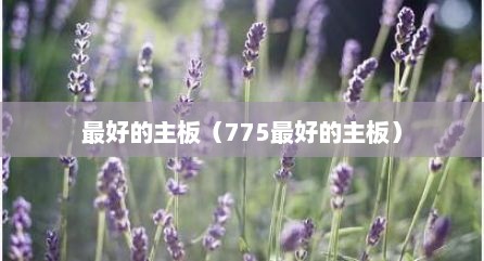 最好的主板（775最好的主板）