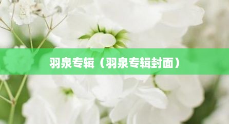 羽泉专辑（羽泉专辑封面）