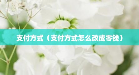 支付方式（支付方式怎么改成零钱）