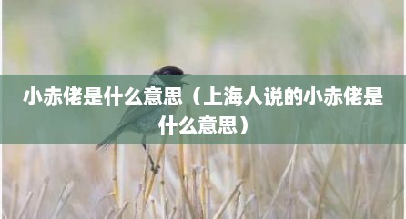 小赤佬是什么意思（上海人说的小赤佬是什么意思）