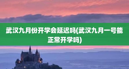 武汉九月份开学会延迟吗(武汉九月一号能正常开学吗)