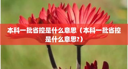 本科一批省控是什么意思（本科一批省控是什么意思?）