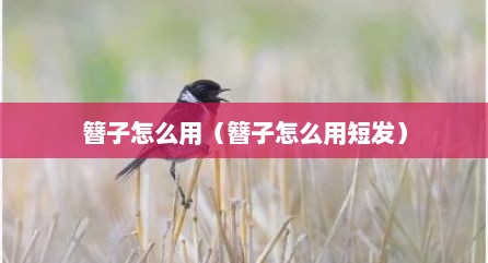 簪子怎么用（簪子怎么用短发）