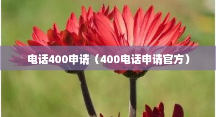 电话400申请（400电话申请官方）