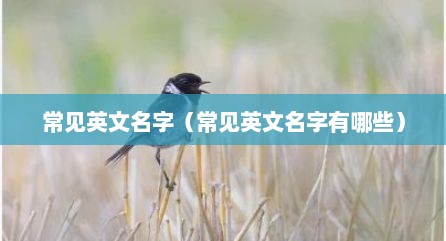 常见英文名字（常见英文名字有哪些）