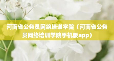 河南省公务员网络培训学院（河南省公务员网络培训学院手机版app）