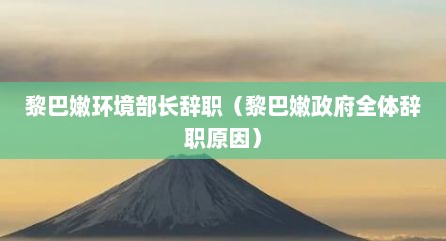 黎巴嫩环境部长辞职（黎巴嫩政府全体辞职原因）