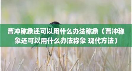 曹冲称象还可以用什么办法称象（曹冲称象还可以用什么办法称象 现代方法）