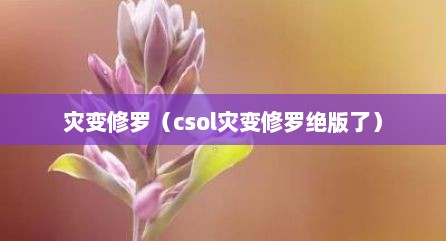 灾变修罗（csol灾变修罗绝版了）