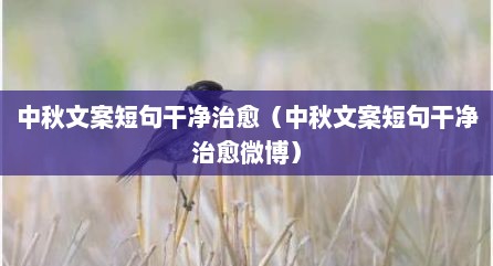 中秋文案短句干净治愈（中秋文案短句干净治愈微博）